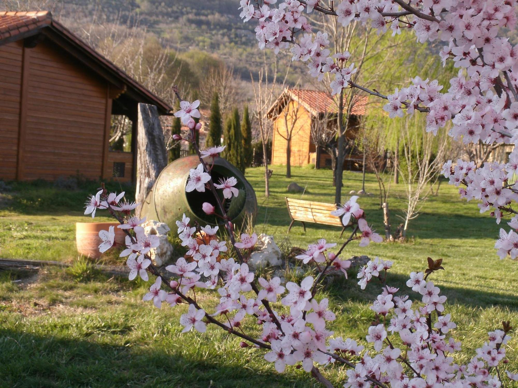 Apartamentos Rurales El Rincon Del Jerte Rebollar  Екстериор снимка